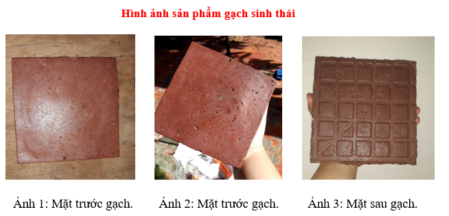 SẢN XUẤT GẠCH SINH THÁI TỪ XỈ THAN, VÔI SỐNG VÀ RÁC THẢI NHỰA TRƯỜNG HỌC