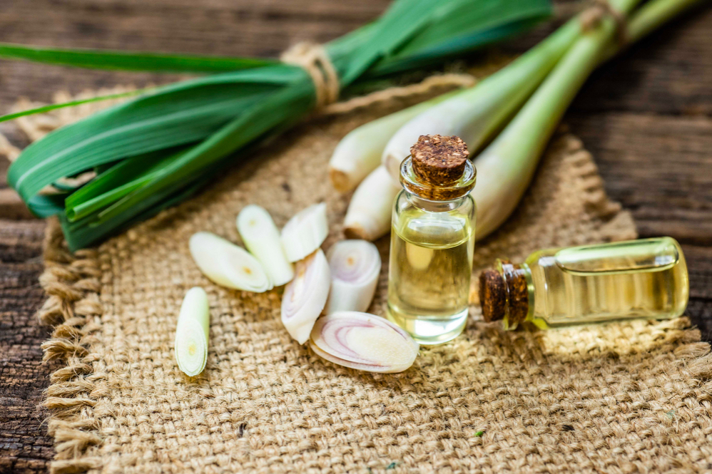 SẢN XUẤT VÀ KINH DOANH TINH DẦU SẢ MANG THƯƠNG HIỆU “TÂN PHÚ ĐÔNG”