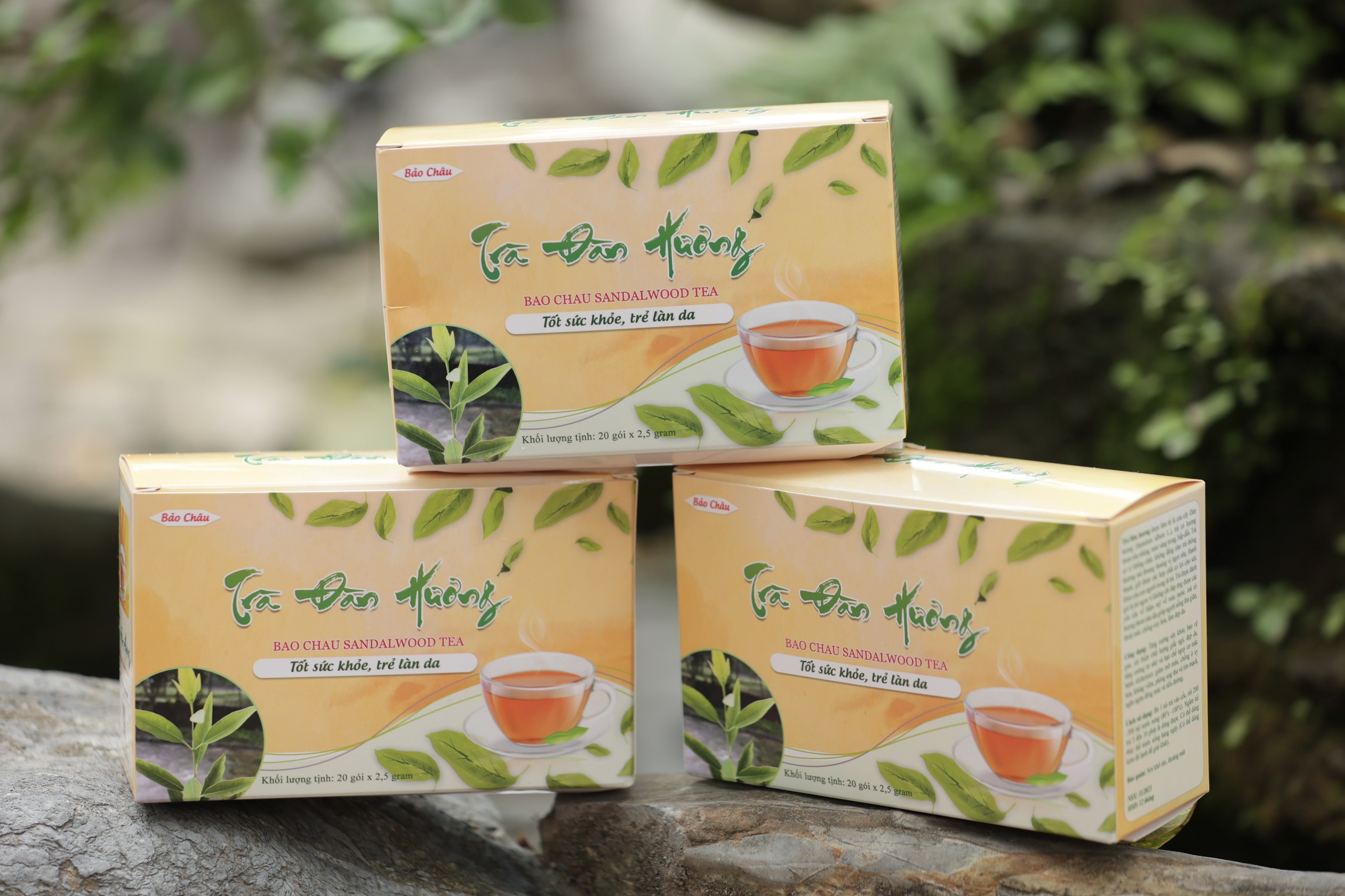 BAO CHAU SANDALWOOD TEA  TRÀ ĐÀN HƯƠNG TRẮNG BẢO CHÂU – TỐT SỨC KHỎE, TRẺ LÀN DA